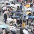 梅雨時季に増加（Ｃ）日刊ゲンダイ