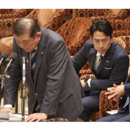 紛れもない 、全ては自民党政治の失敗が招いた。忘れてはいけない(C)日刊ゲンダイ