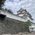 秀長が築城した「和歌山城」／（Ｃ）日刊ゲンダイ