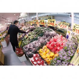 恐ろしいほどの値上げラッシュ、消費税減税の方がよっぽど恩恵がある(C)共同通信社