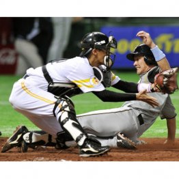 プロ野球現役時代の美嶋隼人容疑者(左)/(C)日刊ゲンダイ