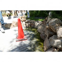 基準値超のレジオネラ菌が検出、「静けさの森」エリアの三日月状に水を貯めた池の「水盤」1カ所(C)日刊ゲンダイ