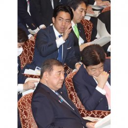 親父のような「フィーバー」を期待(C)日刊ゲンダイ