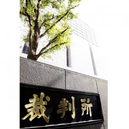 司法のチカラで社会を変える、可能性がある(C)日刊ゲンダイ