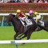 2025年の日本ダービー（Ｃ）日刊ゲンダイ