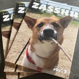 雑種犬の情報が少ないという思いから制作された「ZASSHU」/(写真提供)石塚集