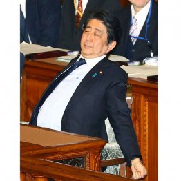 何でもかんでも強行採決やりたい放題は自民党の方(立憲・枝野幸男議員が内閣不信任決議案の趣旨弁明のさなか、伸びをしてみせる安倍首相=2016年12月、衆院本会議)/(C)日刊ゲンダイ