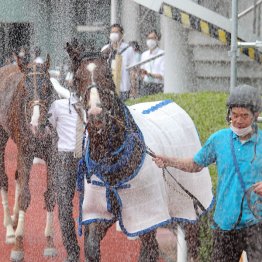 レース後はどしゃ降り並みのシャワー(C)日刊ゲンダイ