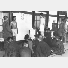 徴兵に際しての身体検査を受ける青年ら(1929=昭和4=年4月、日本電報通信社撮影)