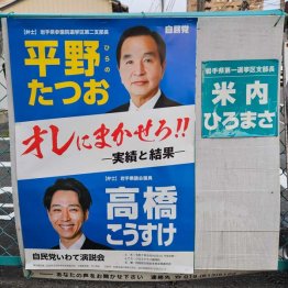 自民党平野達男候補のポスターのキャッチコピーが…(C)日刊ゲンダイ