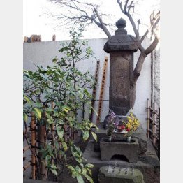 春慶院の墓(提供写真)