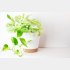 元気いっぱい！（写真:iStock）