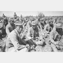 モンゴル国境付近で捕虜になった日本兵(1939=昭和14=年9月) (C)Sputnik/共同通信イメージズ