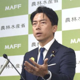 米国追従タイプはもっと最悪(C)共同通信社