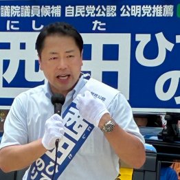 自民・西田英範は「即戦力」をアピール(C)日刊ゲンダイ