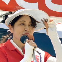 裏金に無反省(自民・森雅子)/(C)日刊ゲンダイ