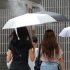 目にも紫外線による日焼けはトラブルの元凶になる（Ｃ）日刊ゲンダイ