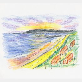 イラスト・沢野ひとし