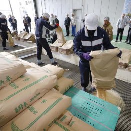 備蓄米が精米されて流通へ(C)共同通信社