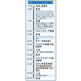 山田パンダさんのとある1日(C)日刊ゲンダイ
