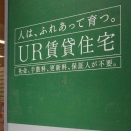「特別募集住宅」も考慮に(C)日刊ゲンダイ