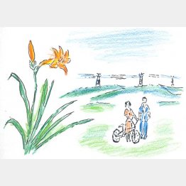 イラスト・沢野ひとし