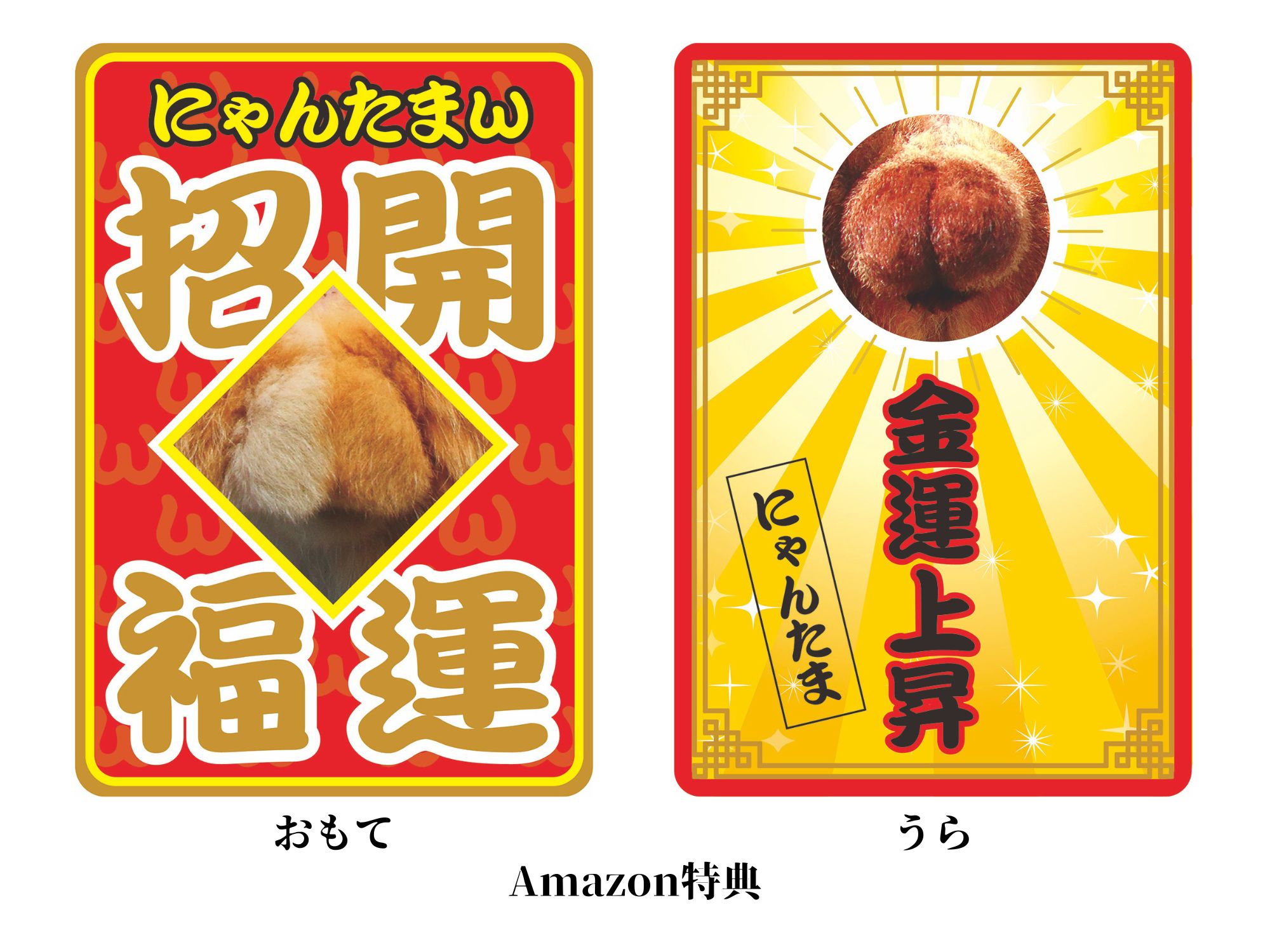 にゃんたま様 日刊ニャンダイ」2026カレンダー 今年は3種類！「にゃんたまω