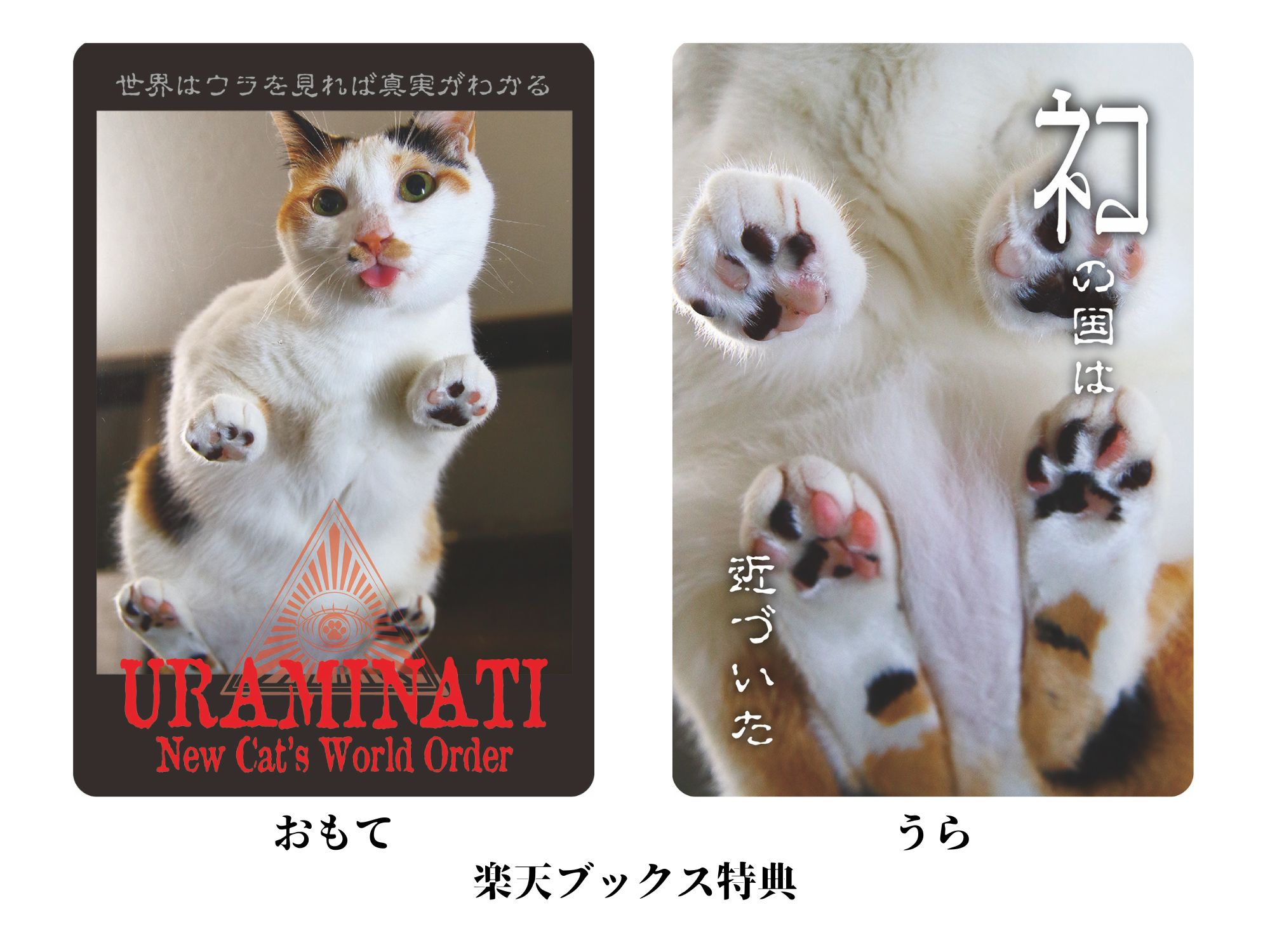 日刊ニャンダイ」2026カレンダー 今年は3種類！「にゃんたまω」「ネコ