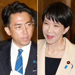 この2人じゃ… もう勘弁（Ｃ）日刊ゲンダイ