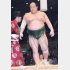 2002年力士引退（Ｃ）共同通信社