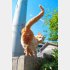 （写真:芳澤ルミ子）