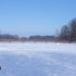 氷点下の湖の中を15分間泳ぎ続ける“驚異的な能力”とは…（Ｃ）日刊ゲンダイ