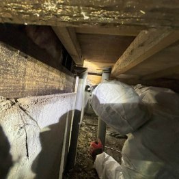 シロアリ被害の調査をしている様子(提供写真)