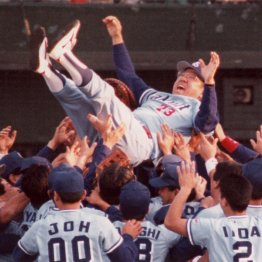 ヤクルト、1993年日本シリーズ優勝(C)日刊ゲンダイ