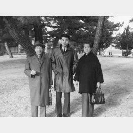 （提供写真）