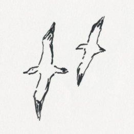 イラスト・沢野ひとし