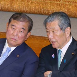 古だぬきの調整役がいなければ政党が持たないなんて…(C)日刊ゲンダイ