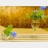 どちらも100均グラス。罪悪感0でいい時代になった byさぶ店長／無断転載禁止（C）コクハク