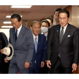 自民党の抗争ではもの凄い戦術がとられている(左から麻生、菅、岸田3氏)/(C)日刊ゲンダイ
