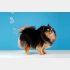 おなら、でちゃった…（写真:iStock）