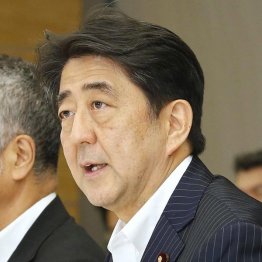 「移民みたいな政策」に前向きだった(C)日刊ゲンダイ