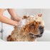 気持ちいい～♡（写真:iStock）