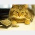 抜け毛さえも愛おしい（写真:iStock）