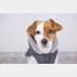 似合う？（写真:iStock）