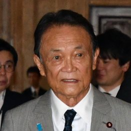 まるで古い自民党の象徴(C)日刊ゲンダイ