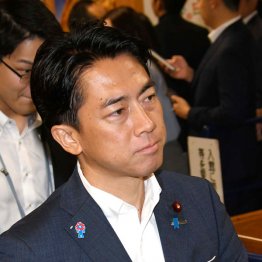 またもや首相に鈴をつけ…(小泉進次郎農相)/(C)日刊ゲンダイ