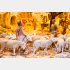 羊飼いの末っ子から劇的な下剋上！（写真:iStock）
