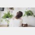 （写真:iStock）