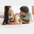 犬しか勝たん（写真:iStock）