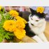 16歳になったワシ。敬老の日はちゃんと敬えや byさぶ店長／無断転載禁止（C）コクハク